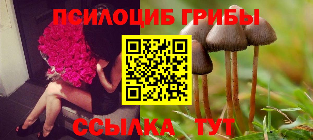 Галлюциногенные грибы Magic Shrooms Советск